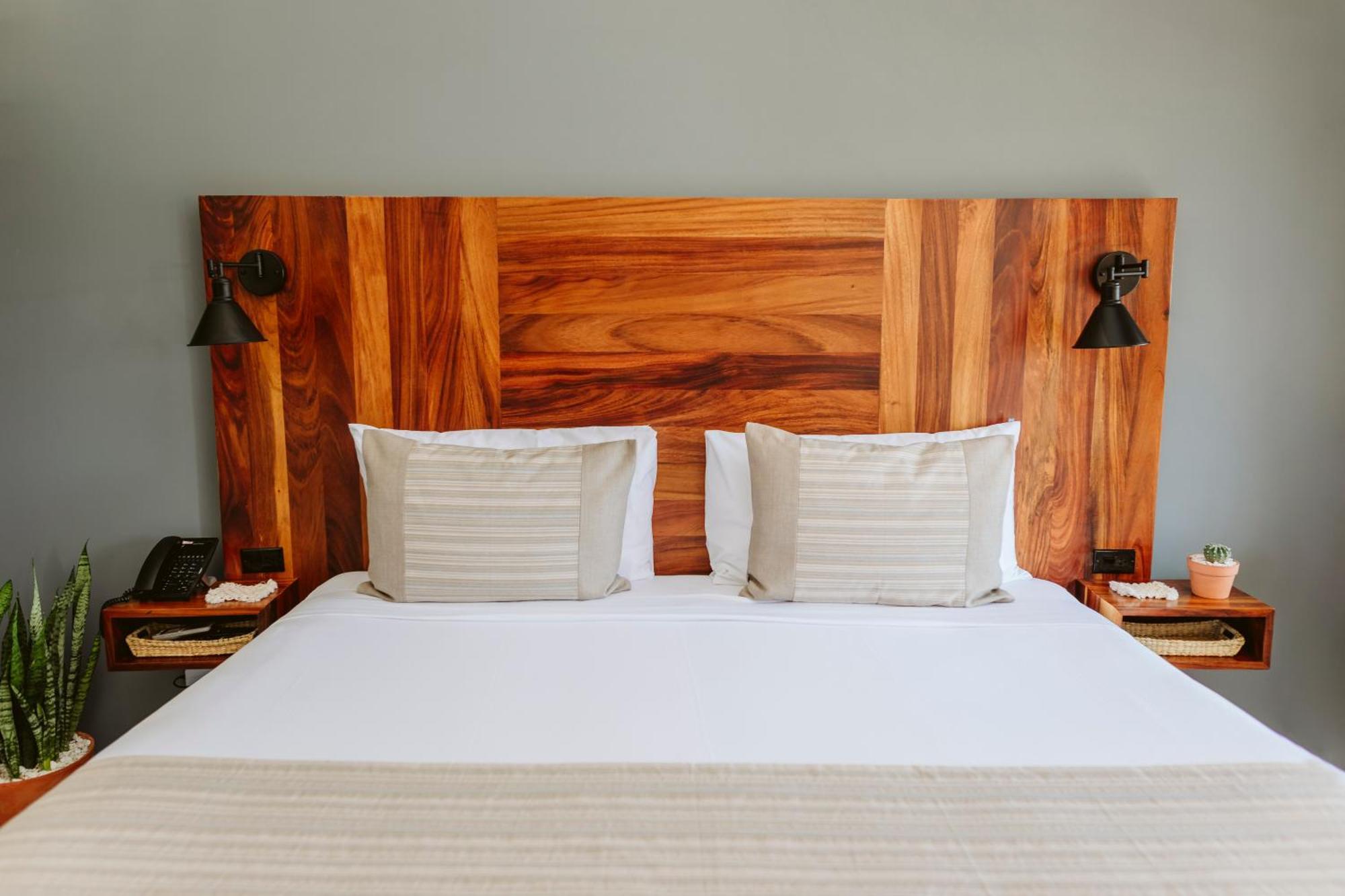 Six Two Four Urban Beach Hotel San José del Cabo 객실 사진